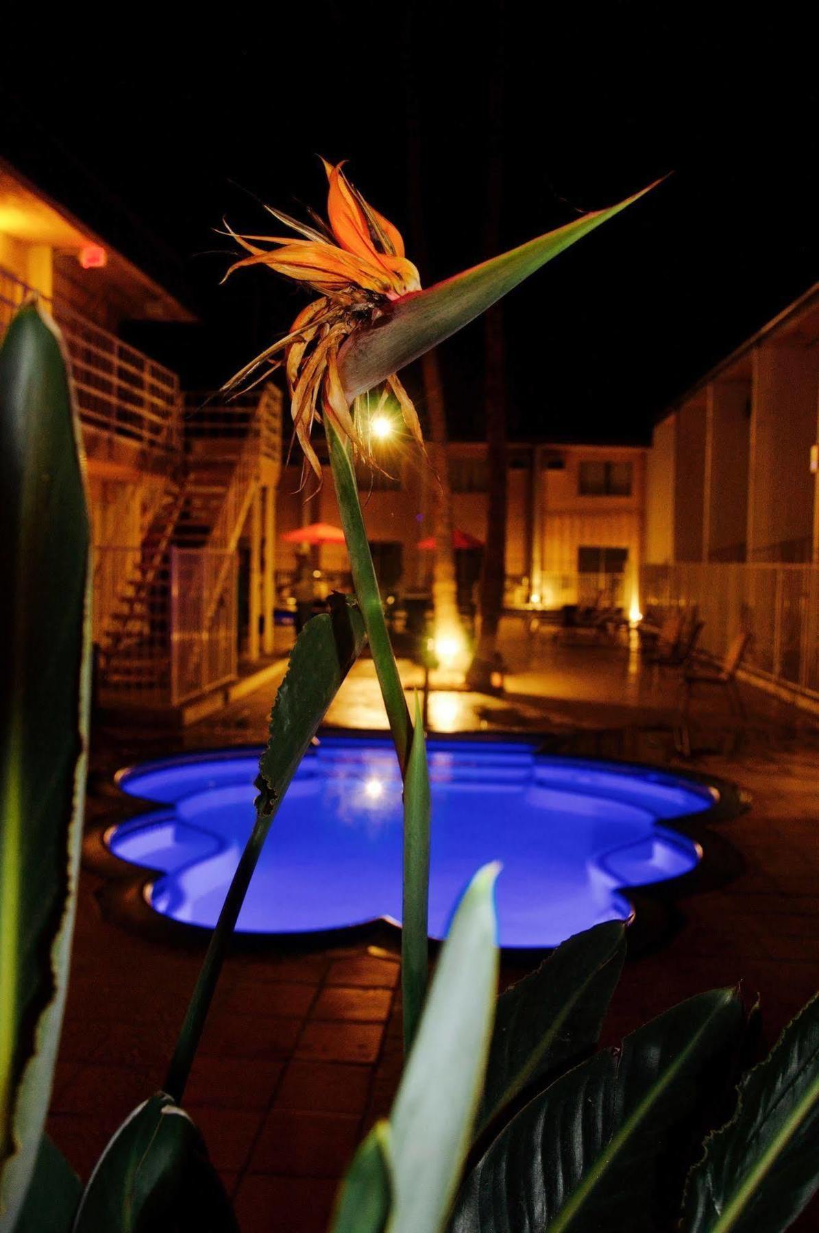 Delos Reyes Palm Springs Esterno foto