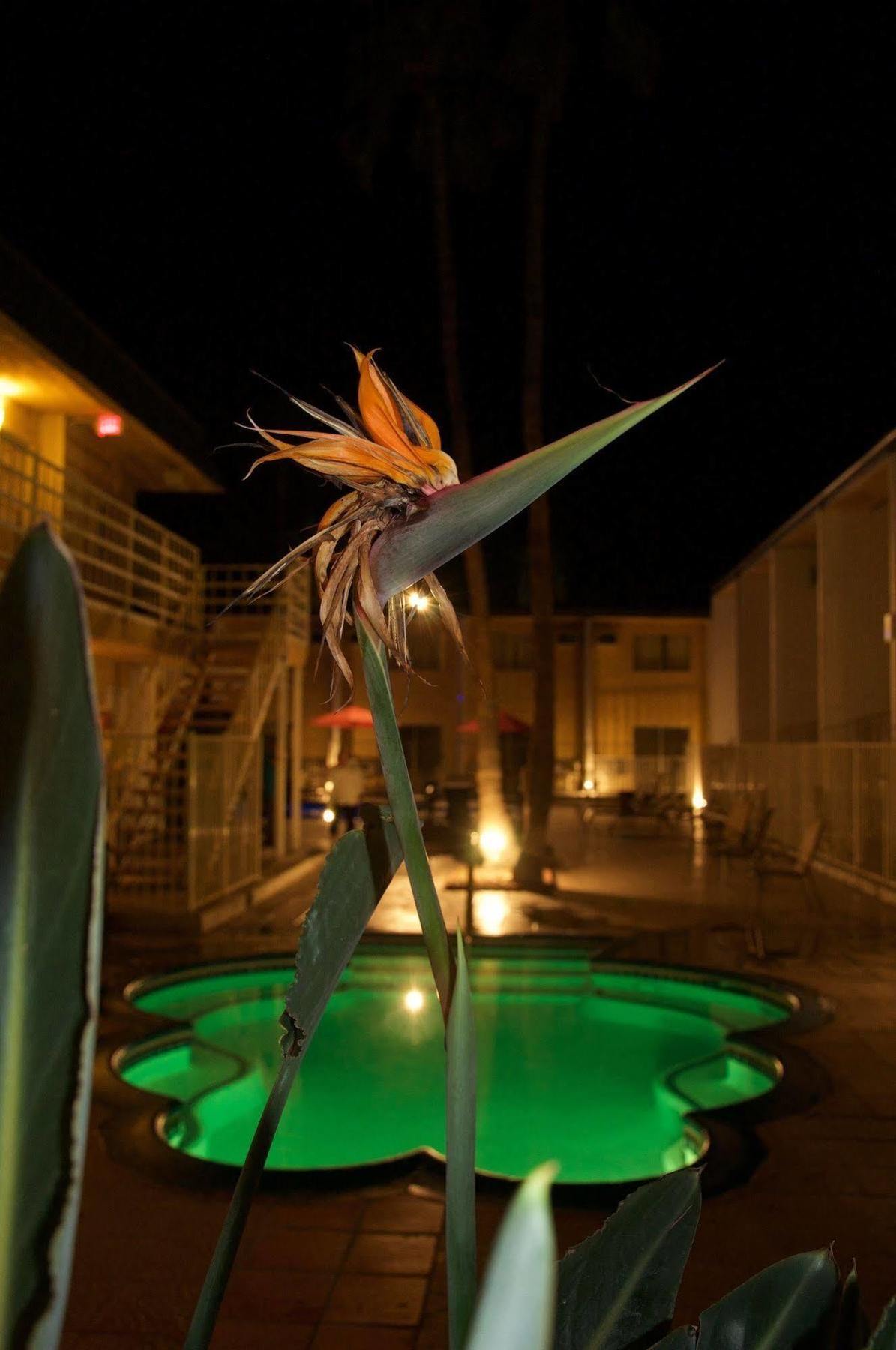 Delos Reyes Palm Springs Esterno foto